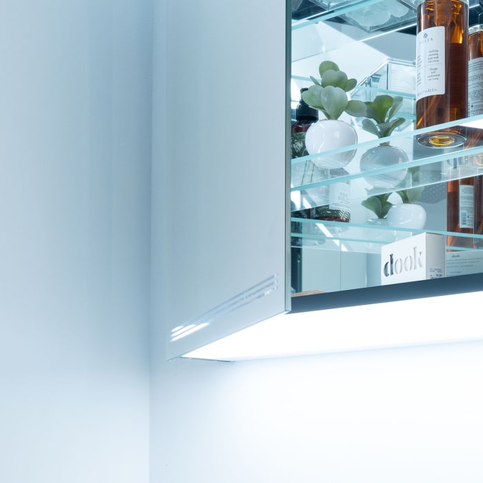 Schneider GRACE TW Spiegelschrank GRL 60/1/TW/R 59,5 x 70 cm, Türanschlag rechts, DE