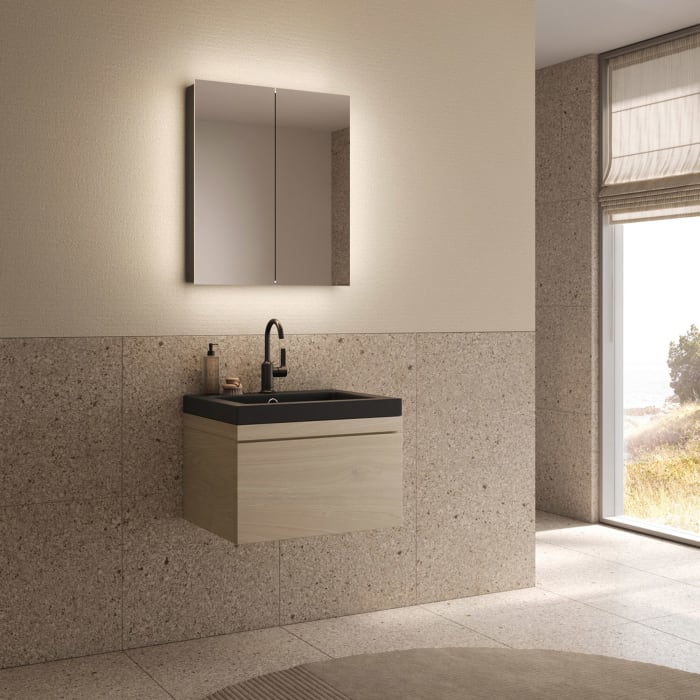 Schneider STYLE TW Spiegelschrank ALC2 60/2/TW/L 61,5 x 71,5 cm, CH