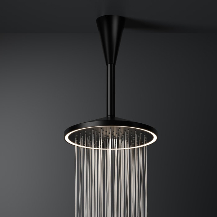 Steinberg Serie 310 Brausearm Deckenmontage