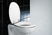 WC-Sitze