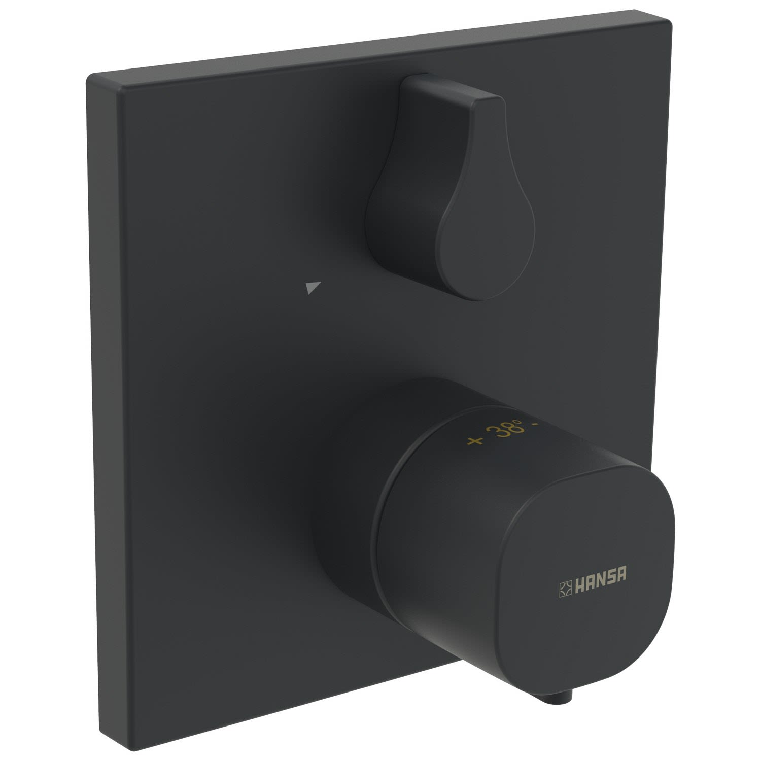 Hansa HANSALIVING Thermostat-Brause-Funktionseinheit eckige Rosette, Badarmaturen, matt schwarz 8113956233