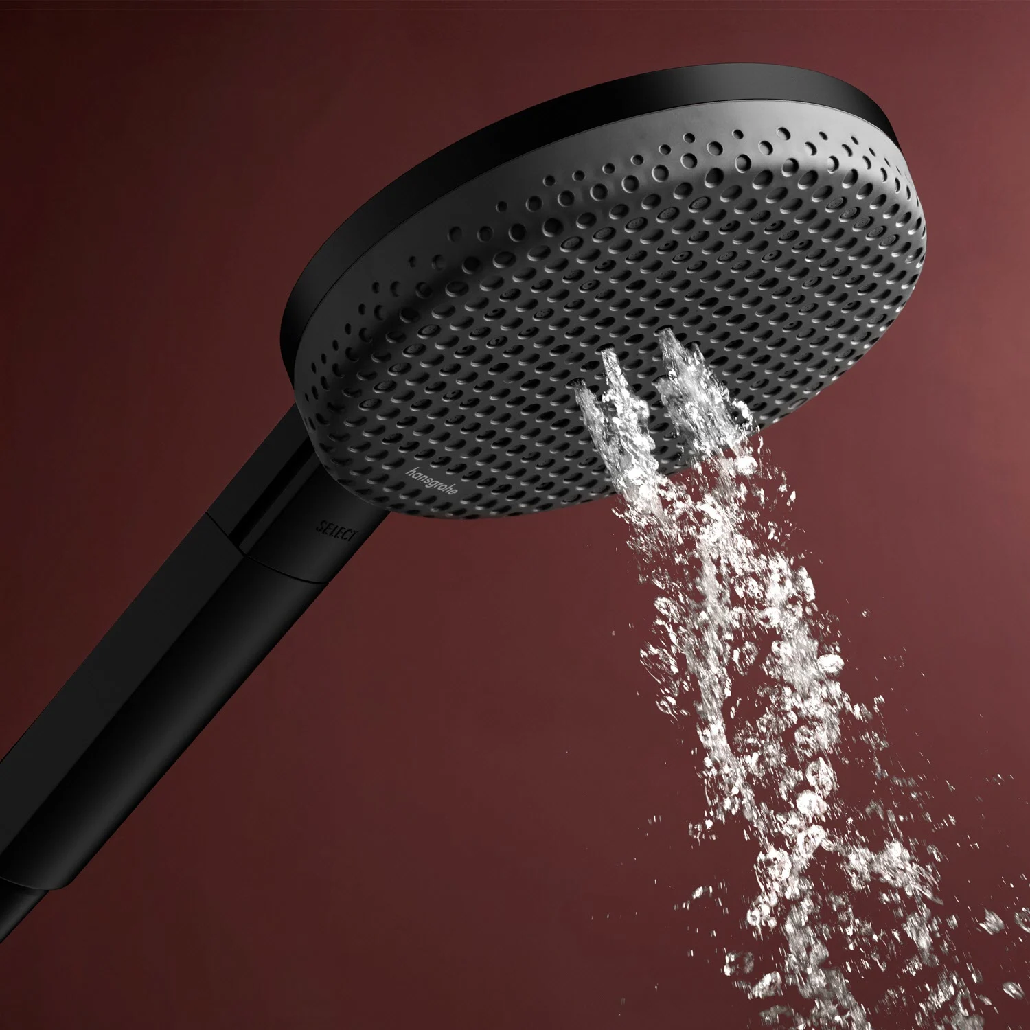 hansgrohe Raindance Alive Select S Handbrause 125 3 Strahlarten Bild 2