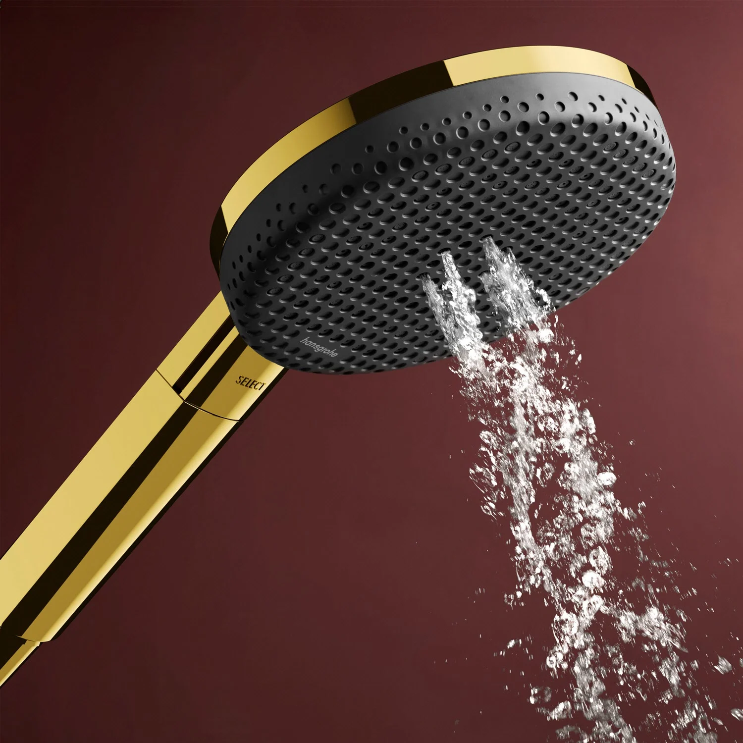 hansgrohe Raindance Alive Select S Handbrause 125 3 Strahlarten Bild 2