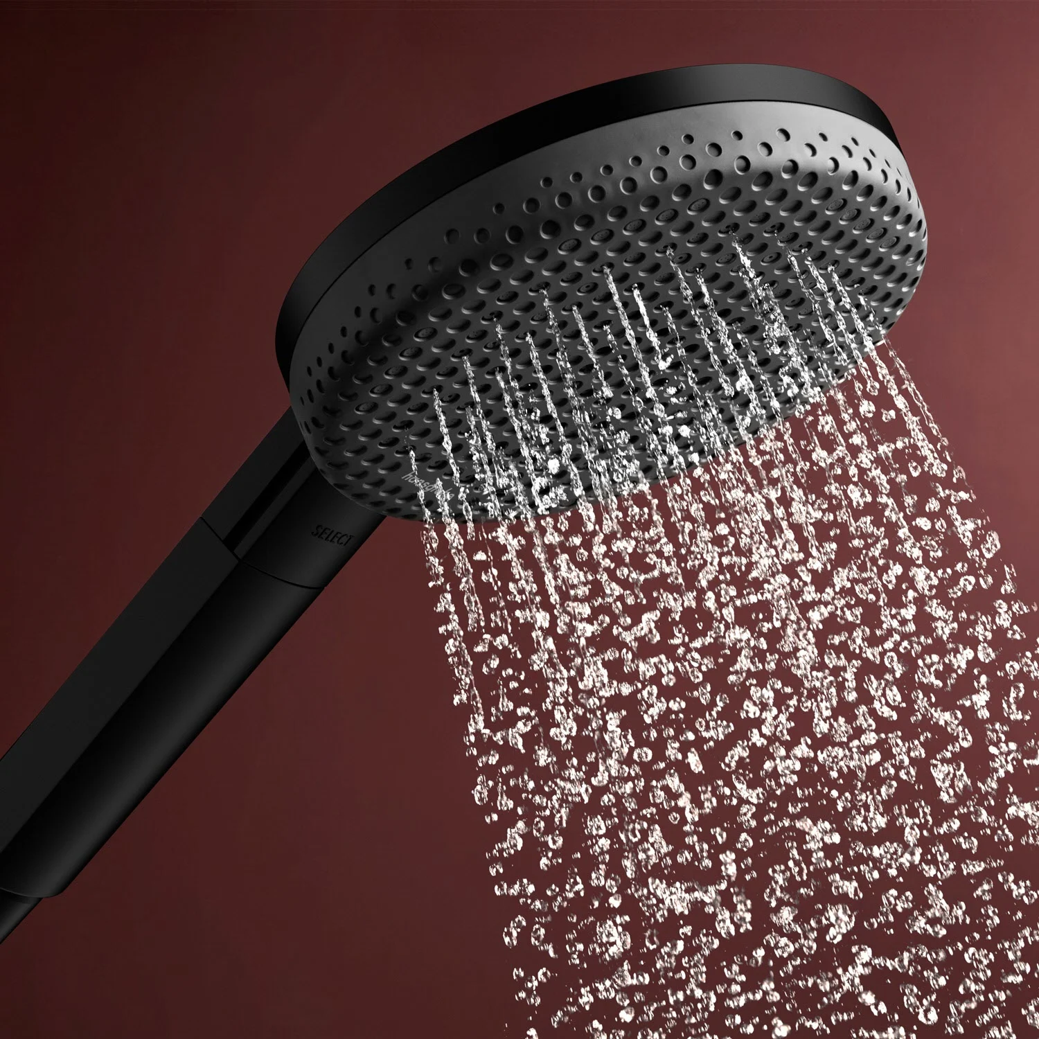hansgrohe Raindance Alive Select S Handbrause 125 3 Strahlarten Bild 3