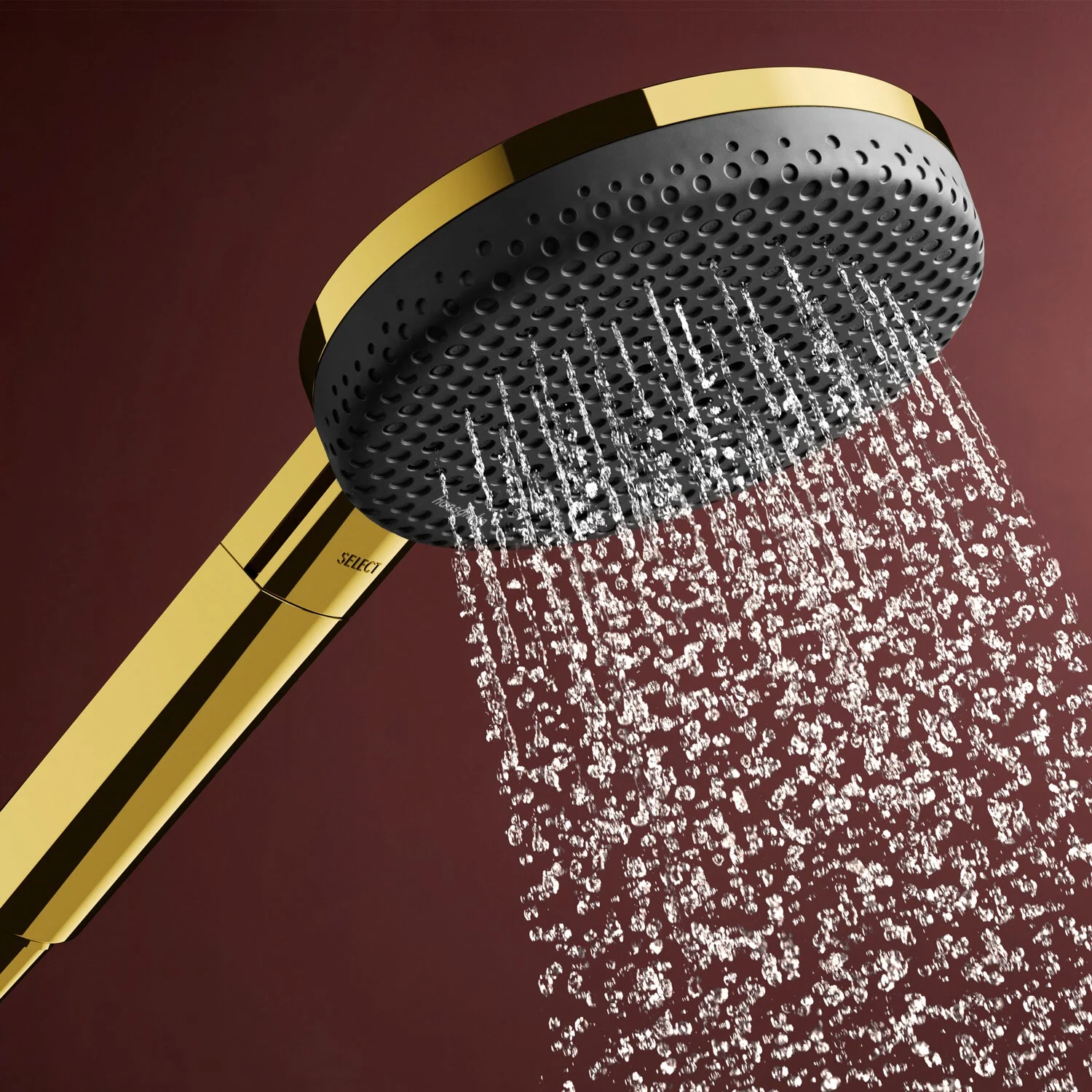 hansgrohe Raindance Alive Select S Handbrause 125 3 Strahlarten Bild 3