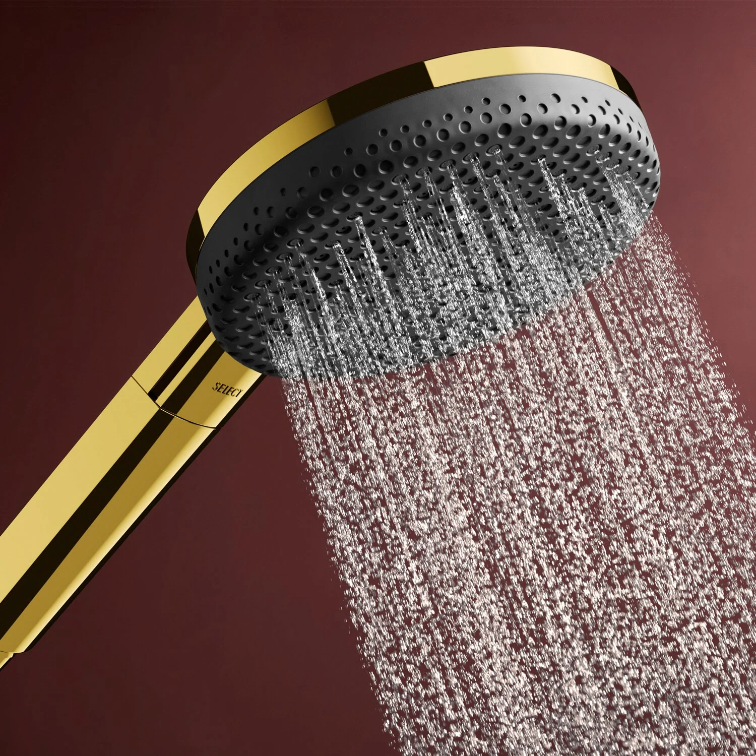 hansgrohe Raindance Alive Select S Handbrause 125 3 Strahlarten Bild 4