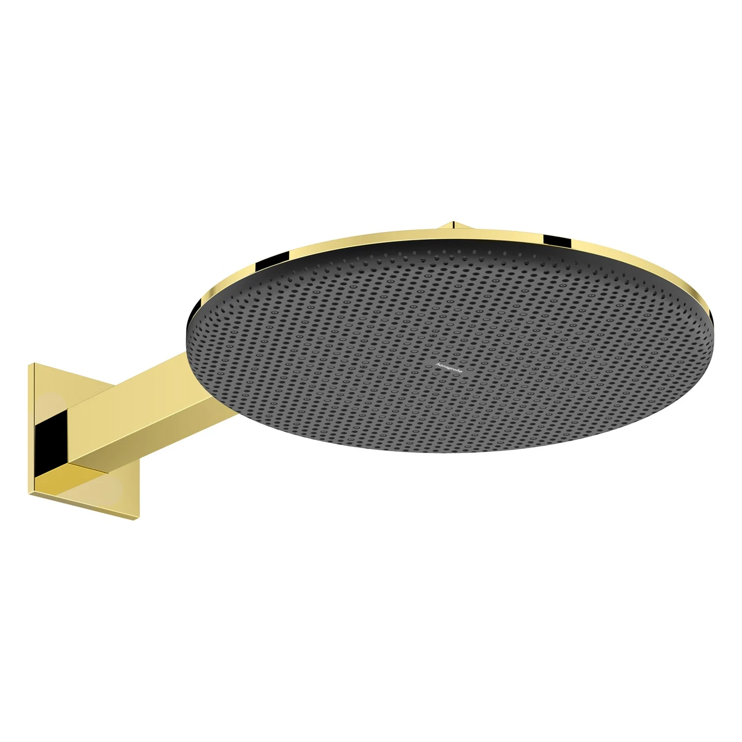 hansgrohe Raindance Alive S Kopfbrause 300 rund, 2 Strahlarten wassersparend, mit Brausearm