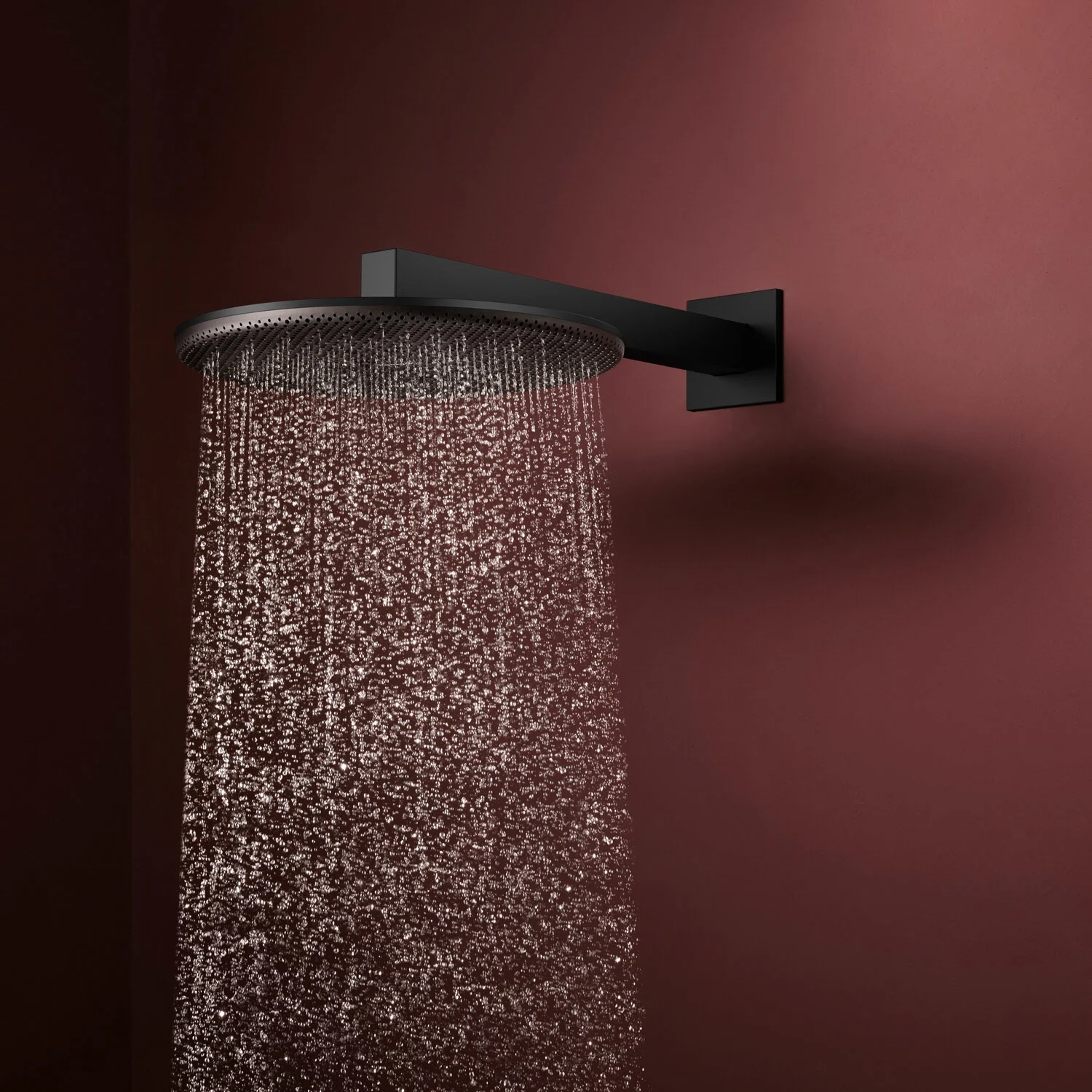 hansgrohe Raindance Alive S Kopfbrause 300 rund, 1 Strahlart Bild 2