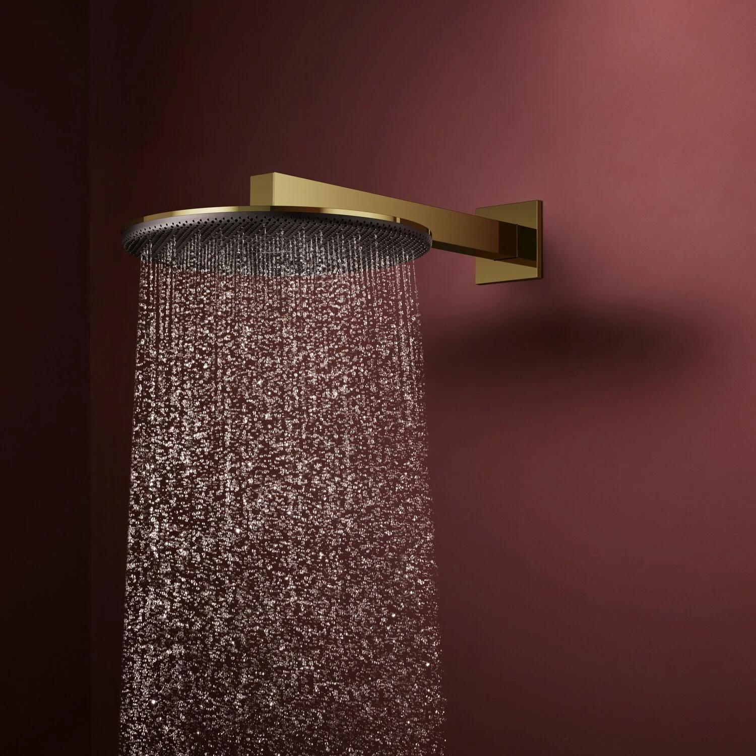 hansgrohe Raindance Alive S Kopfbrause 300 rund, 1 Strahlart Bild 2