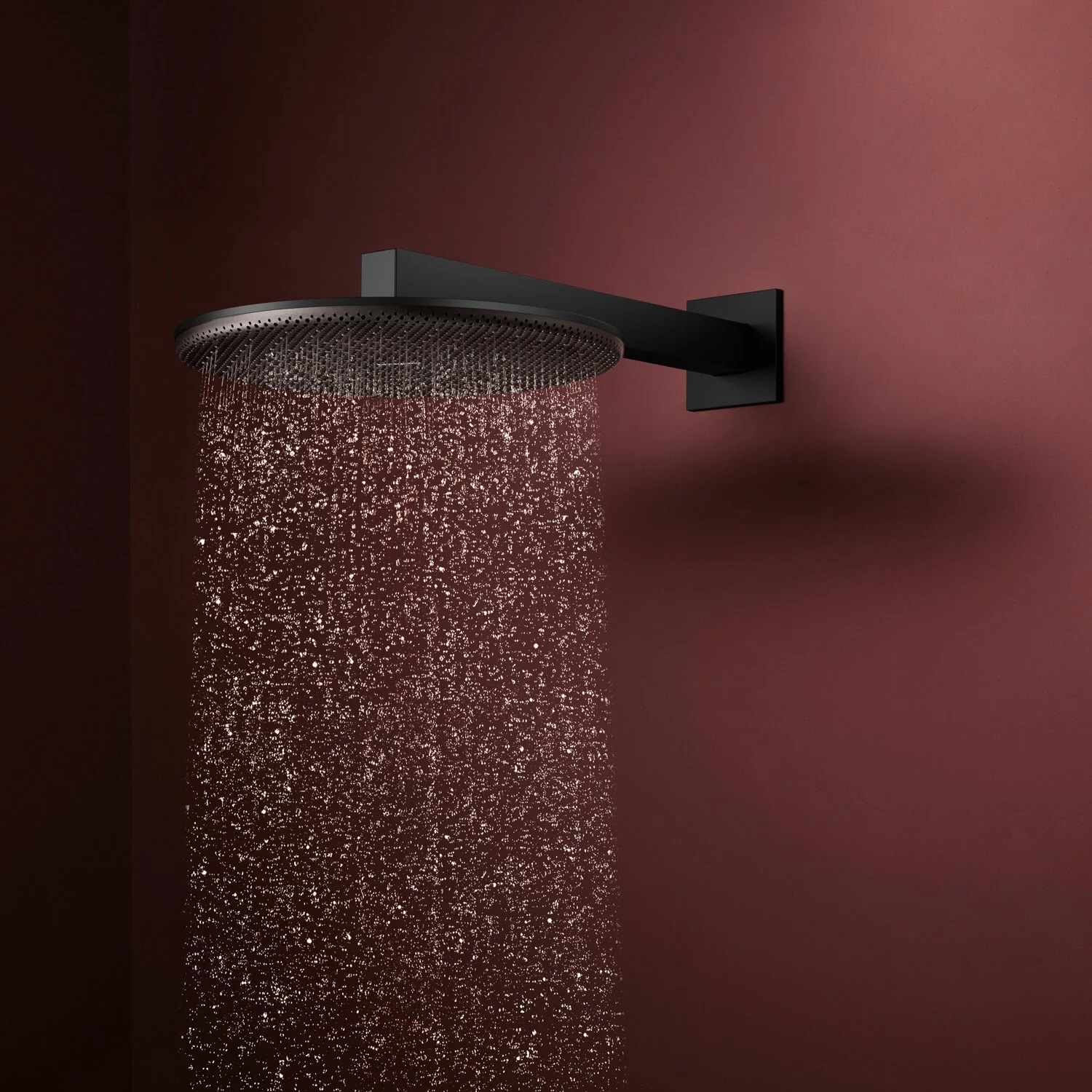 hansgrohe Raindance Alive S Kopfbrause 300 rund, 2 Strahlarten wassersparend, mit Brausearm Bild 2