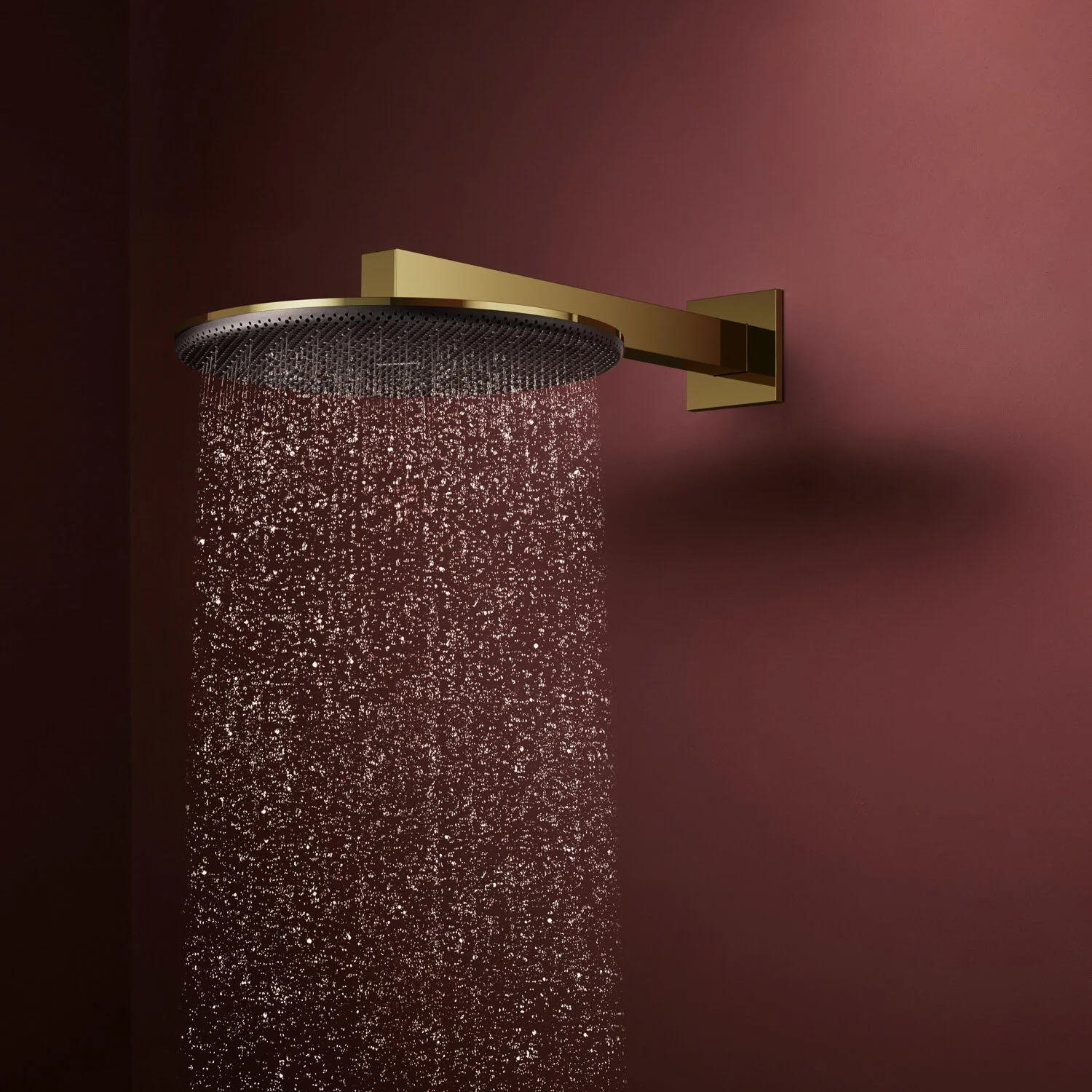 hansgrohe Raindance Alive S Kopfbrause 300 rund, 2 Strahlarten wassersparend, mit Brausearm Bild 2