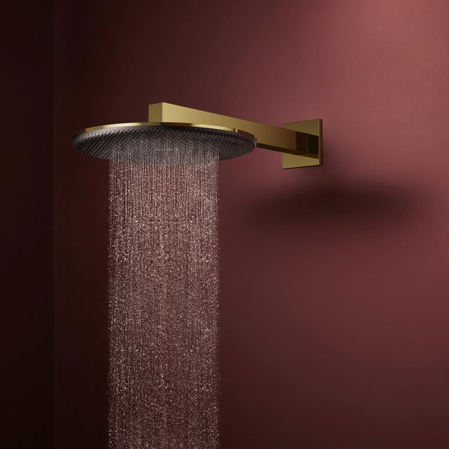 hansgrohe Raindance Alive S Kopfbrause 300 rund, 1 Strahlart Bild 3
