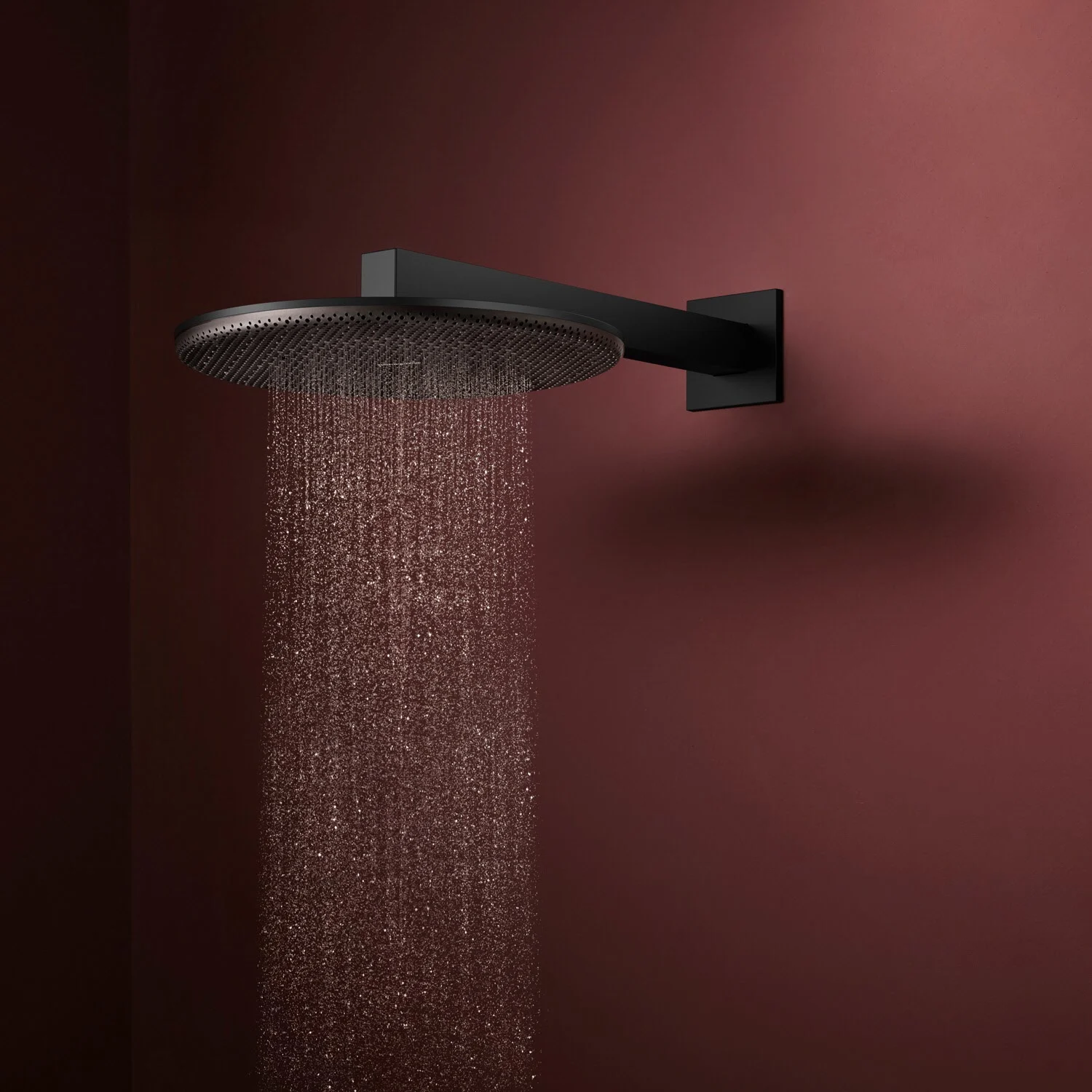 hansgrohe Raindance Alive S Kopfbrause 300 rund, 1 Strahlart wassersparend Bild 3