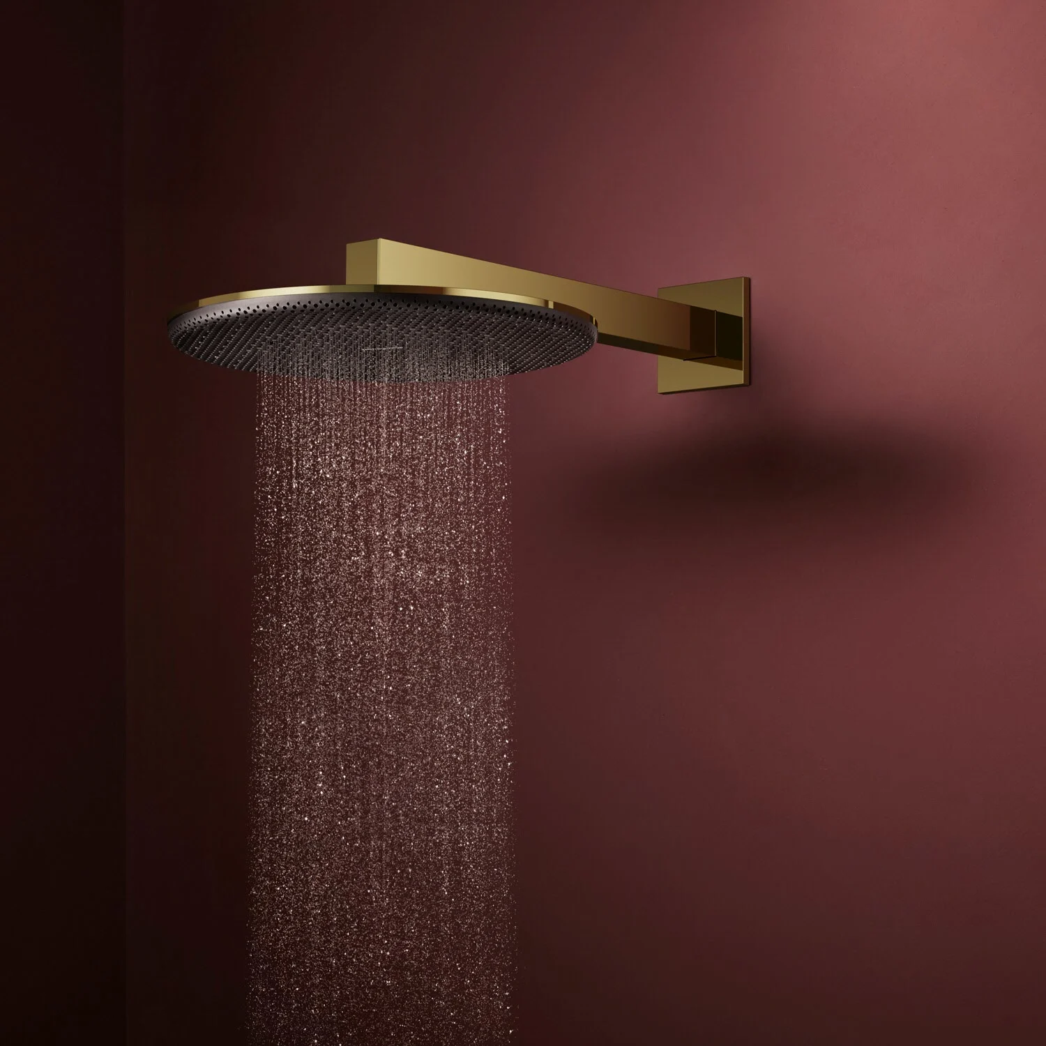 hansgrohe Raindance Alive S Kopfbrause 300 rund, 2 Strahlarten wassersparend, mit Brausearm Bild 3