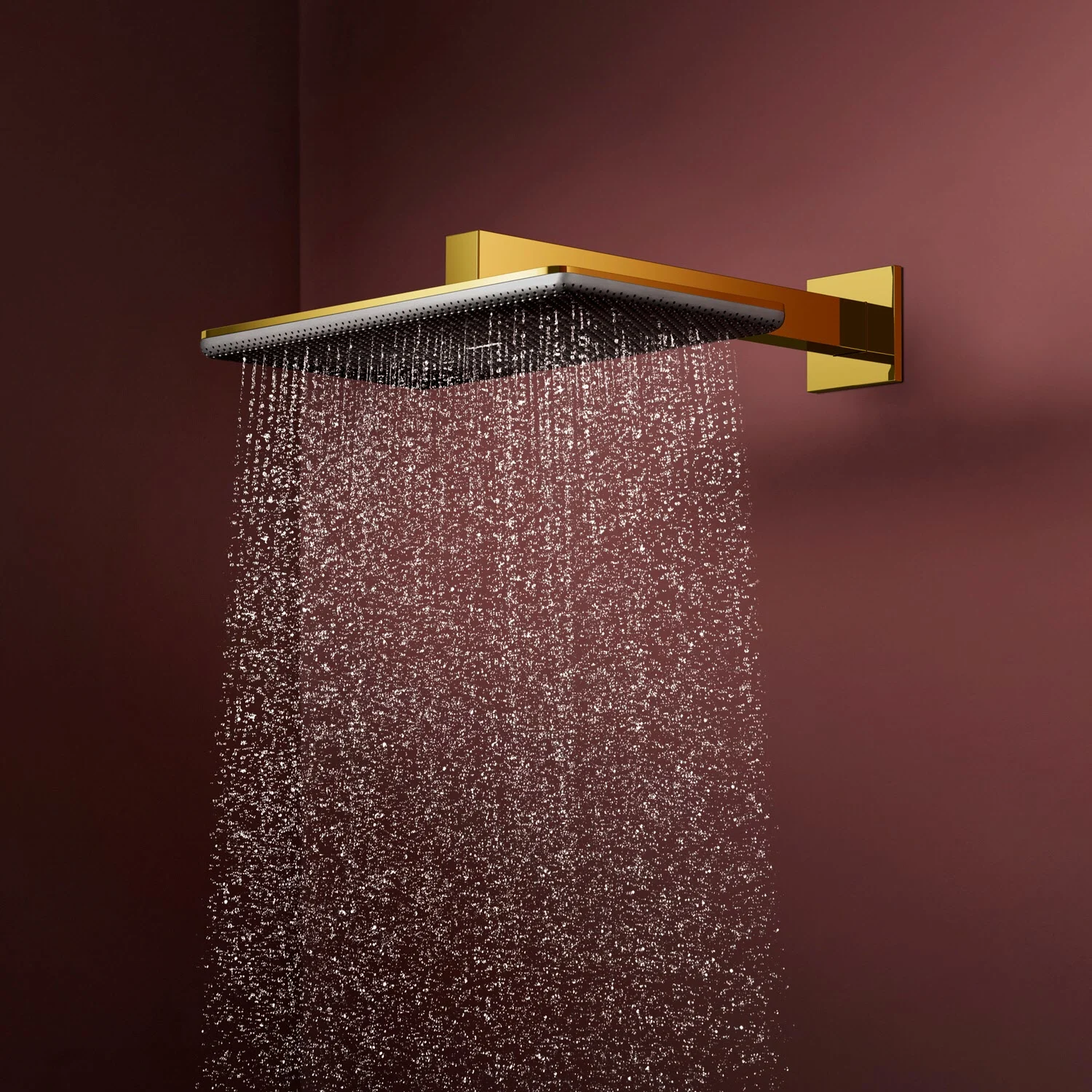 hansgrohe Raindance Alive Q Kopfbrause 210/340 softcube, 1 Strahlart Bild 2