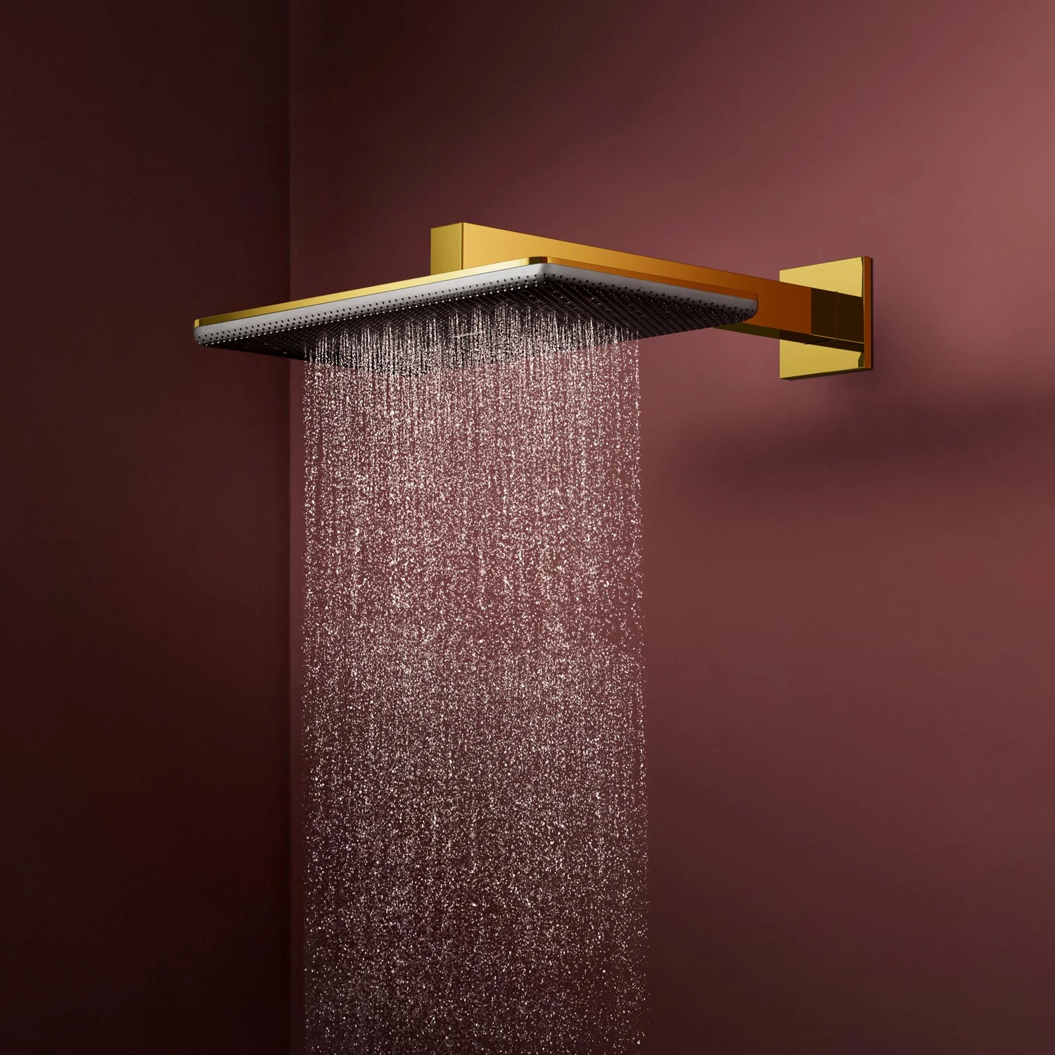 hansgrohe Raindance Alive Q Kopfbrause 210/340 softcube, 1 Strahlart Bild 3
