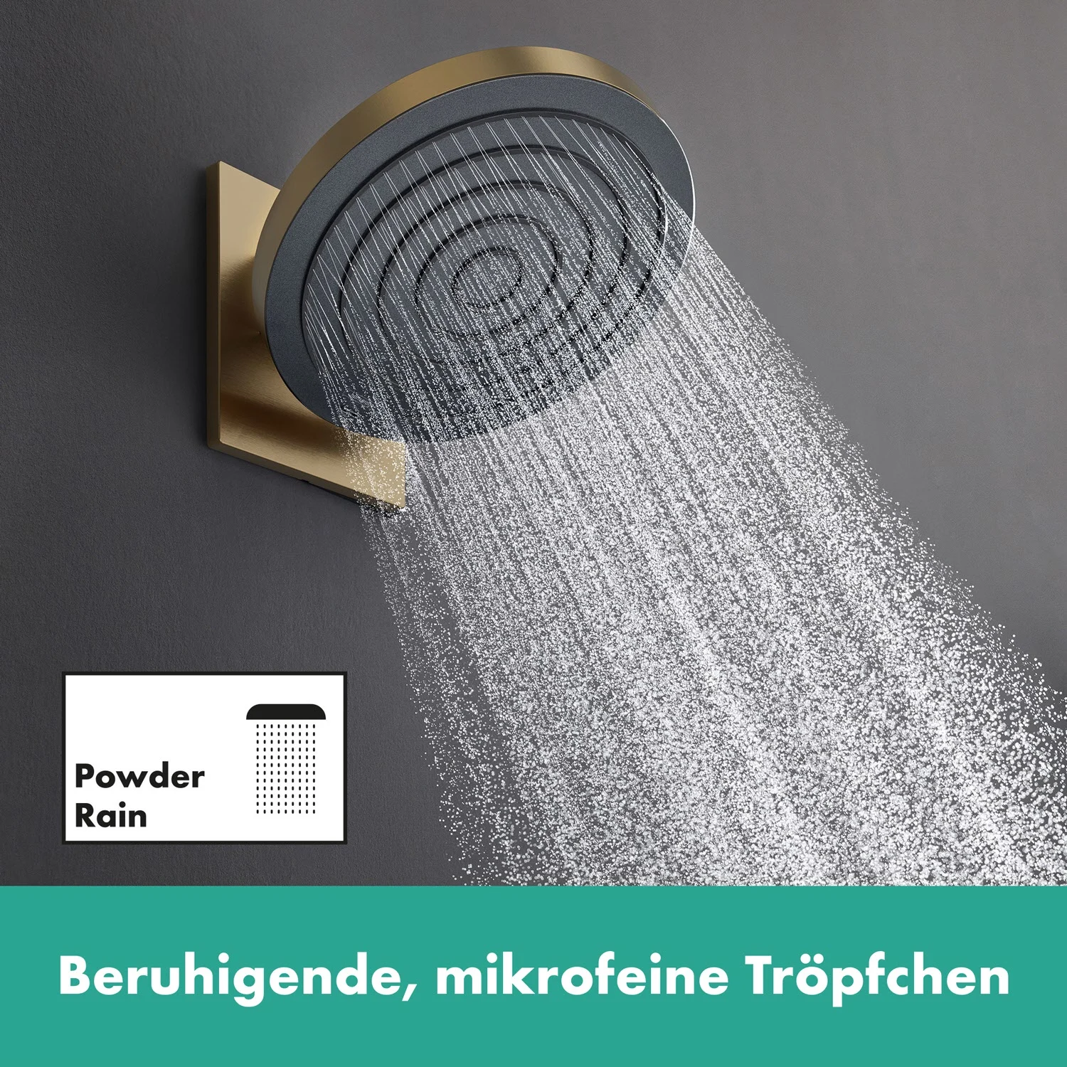 hansgrohe Pulsify Wandanschluss für Kopfbrause 260 Bild 4
