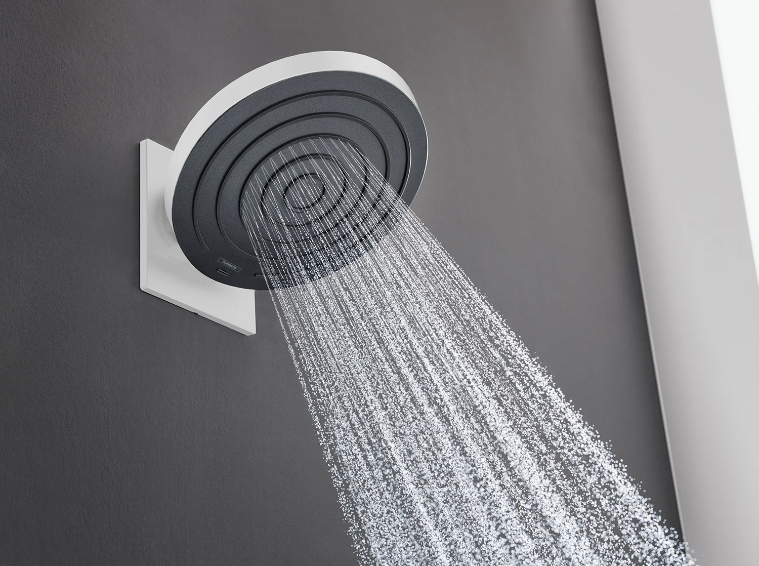 hansgrohe Pulsify Kopfbrause 260 2jet EcoSmart mit Wandanschluss Bild 2