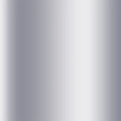 hansgrohe Unica Varia Brausestange 105 cm Bild 2