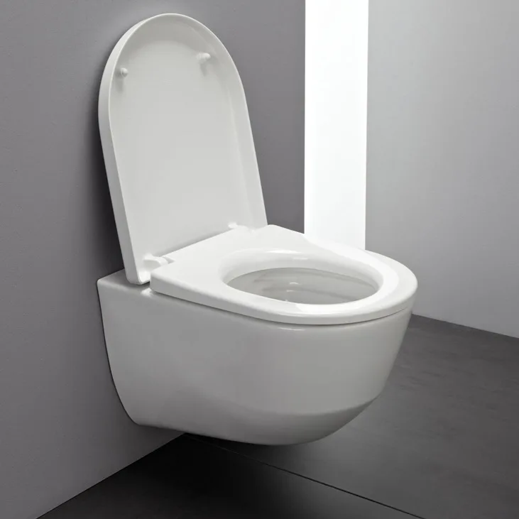 LAUFEN PRO Wand-WC Tiefspüler ohne Spülrand Bild 8