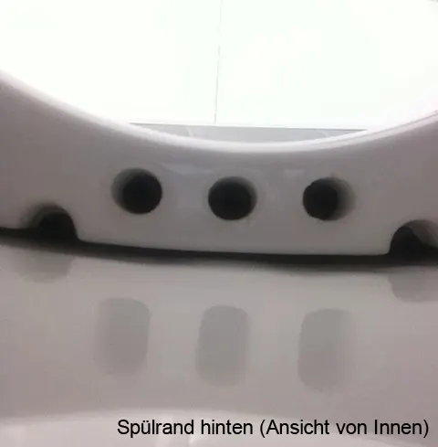 LAUFEN PRO Wand-WC-Flachspüler mit geschlossenem Spülrand Bild 2