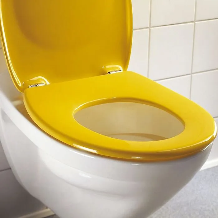 Pressalit Kinder WC-Sitz Pinocchio 212 Standard zu Geberit Keramag Kind Bild 6