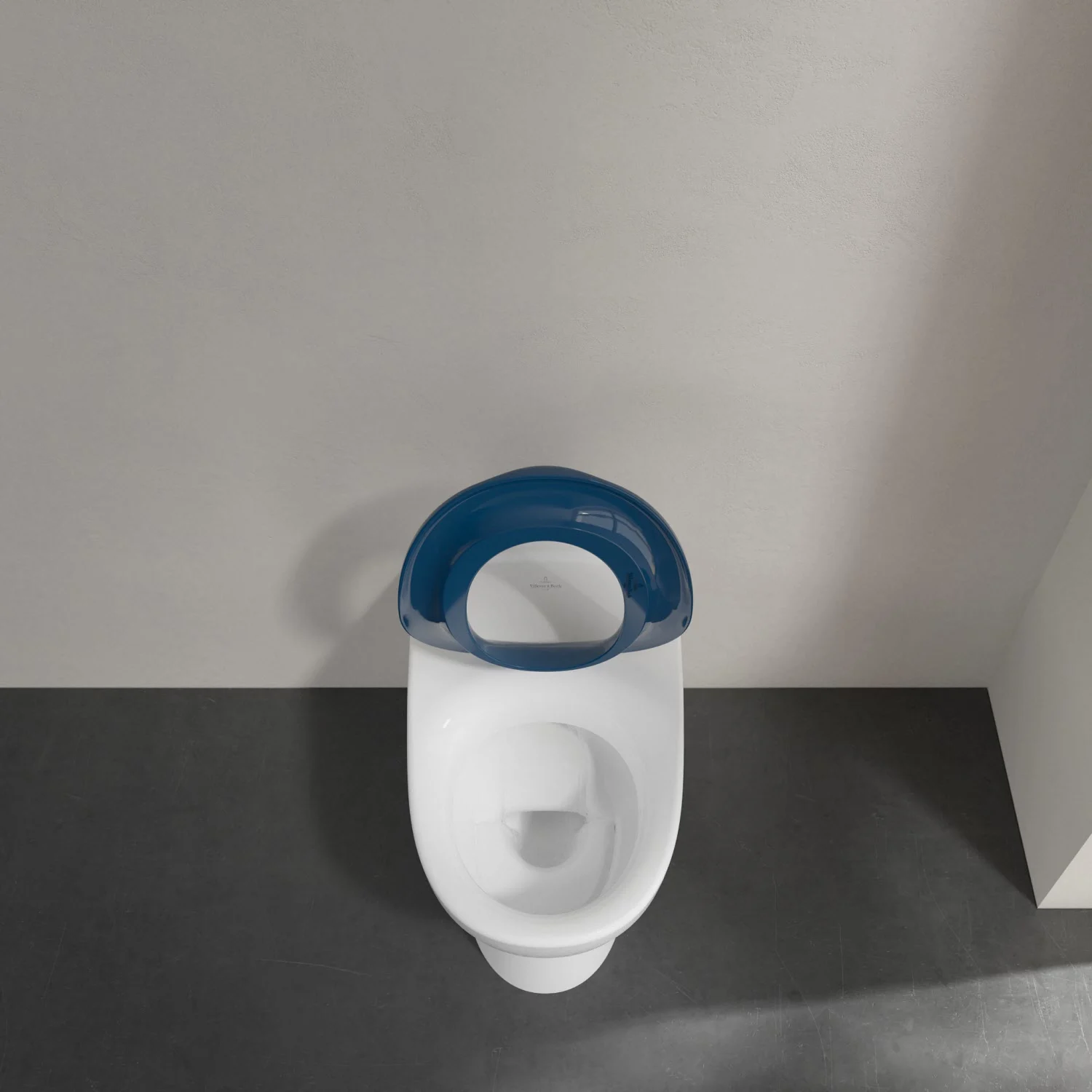 Toaleta z niebieskim siedziskiem z góry, Villeroy & Boch
