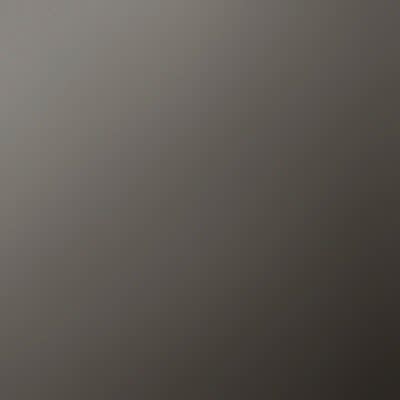 Dornbracht Spülbrausegarnitur