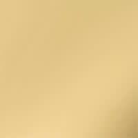 hansgrohe Porter S Brausenhalter