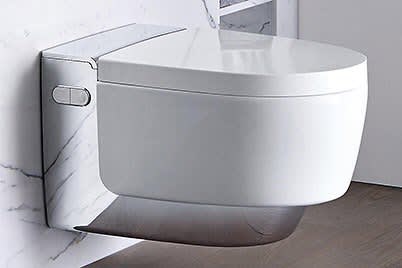 Geberit AquaClean