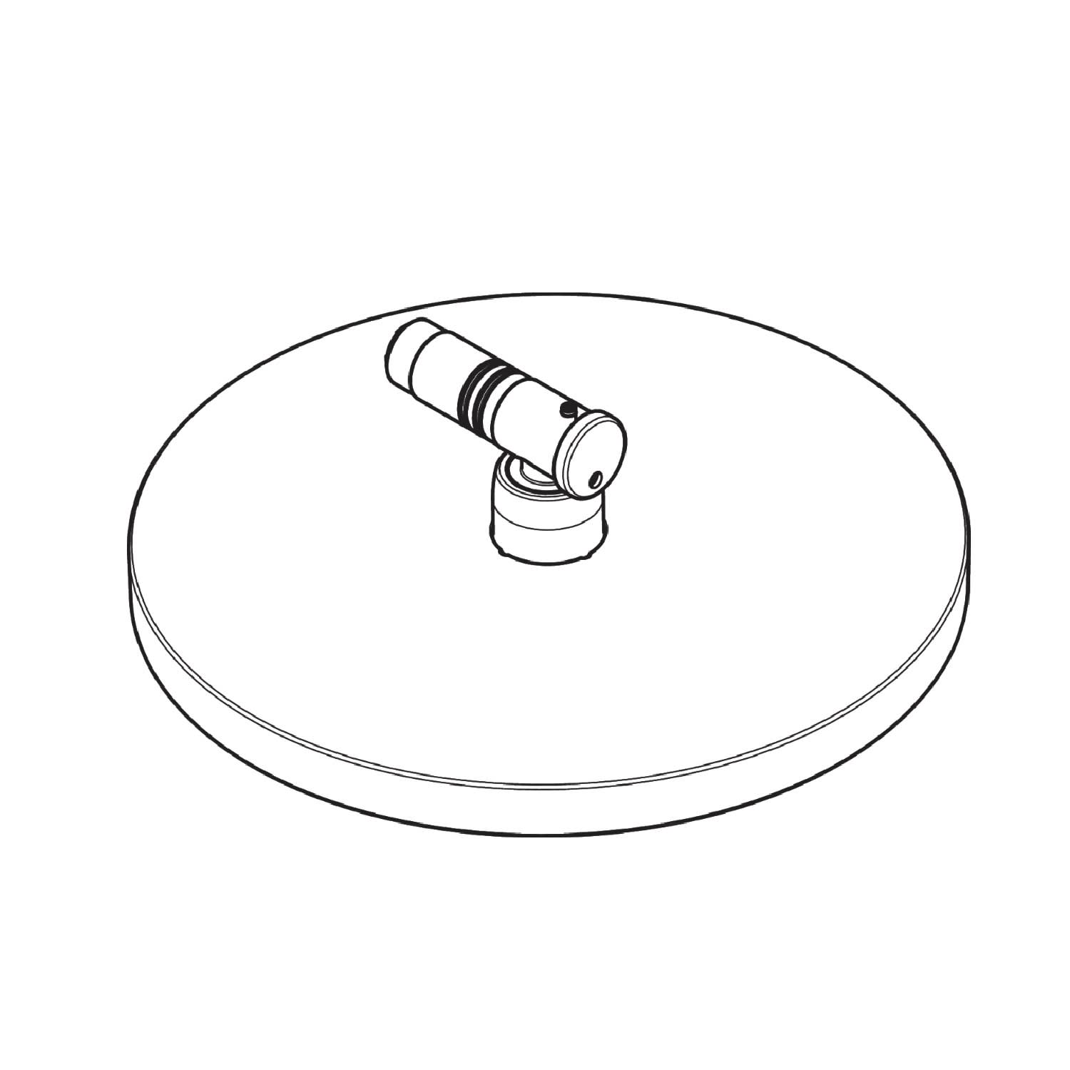 hansgrohe Ersatz-Kopfbrause 24 cm 93464000 - MEGABAD