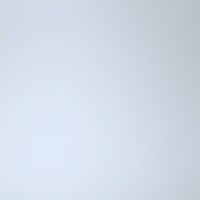 HSK Atelier Plan Seitenwand für Drehtür an Nebenteil 100 cm