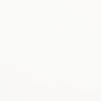 Pressalit Haltegriff Brausestangen-Kombination 100 x 109 cm