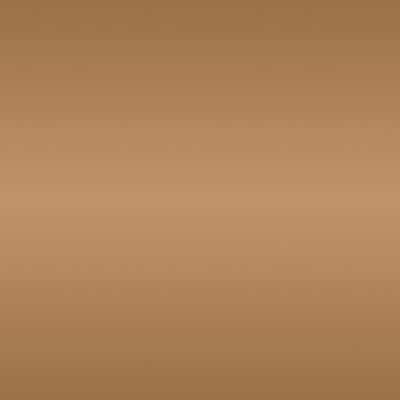 HSK Line Pro Designheizkörper 60 x 121,5 cm