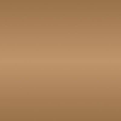 HSK Walk-In Pro Frontelement 1-teilig 120 cm