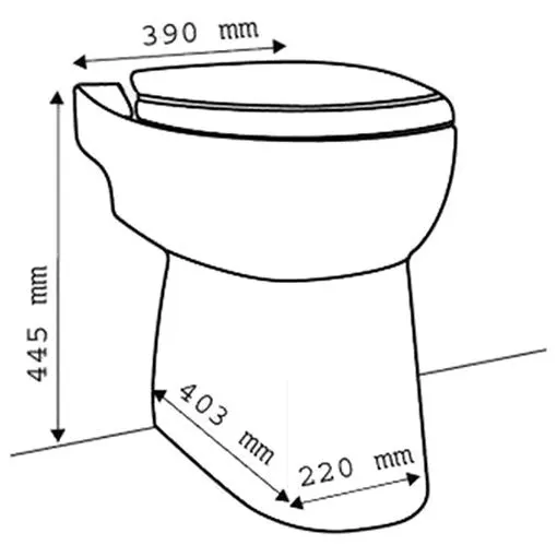 SFA Sanibroy SaniCompact C43 Stand-WC inkl. Kleinhebeanlage, mit Waschtischanschluss Bild 3