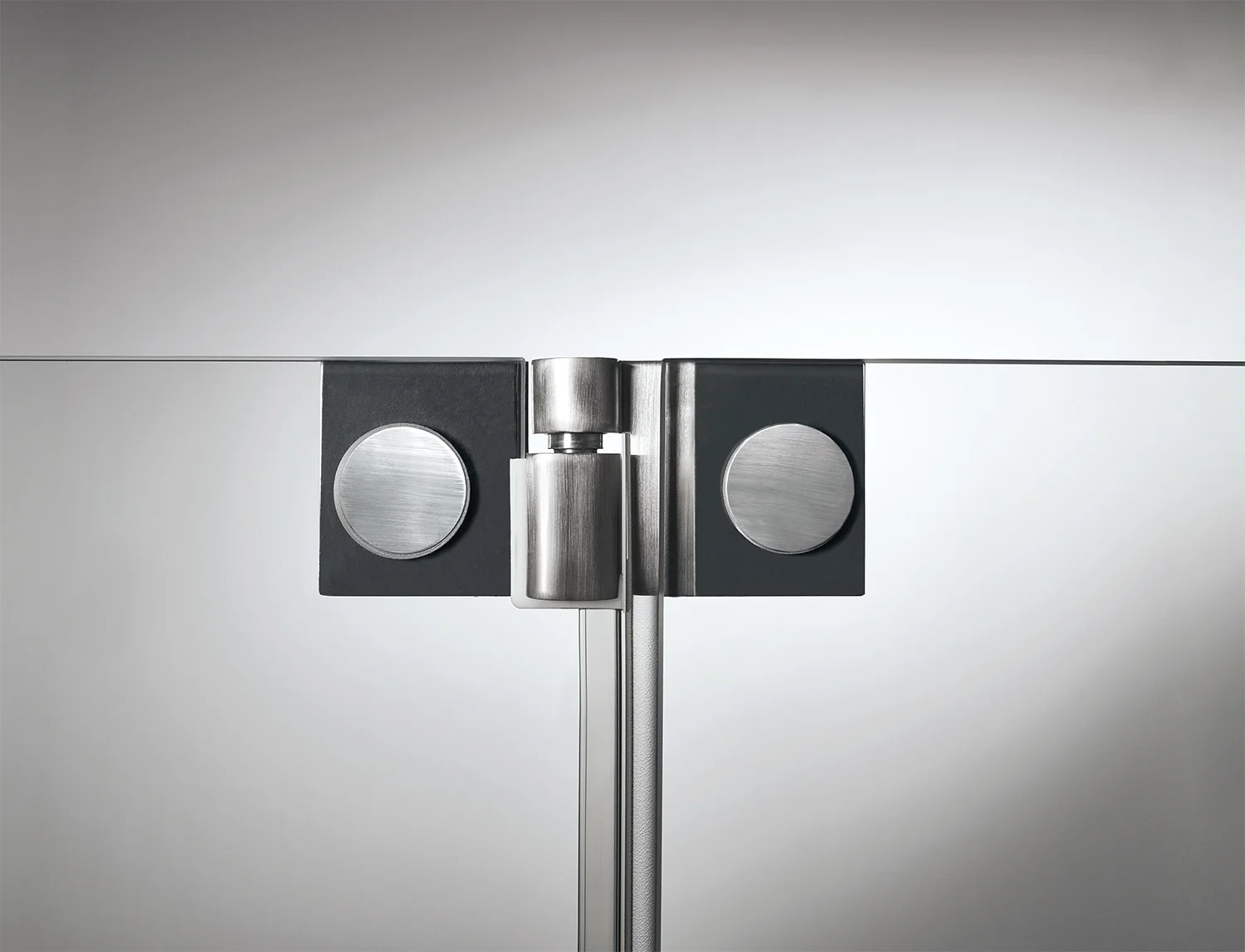 Sprinz Omega Supersteel Edition Tür an Festteil + Seitenwand 100 x 100 x 200 cm Bild 4