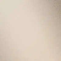 champagne gebürstet