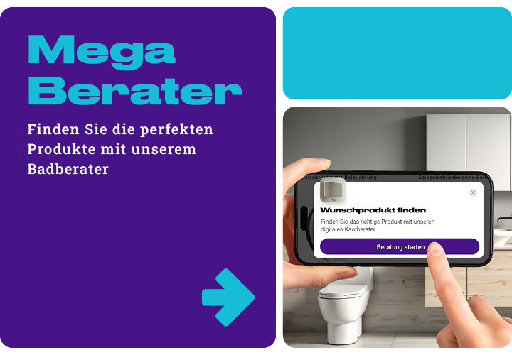 Mega Berater