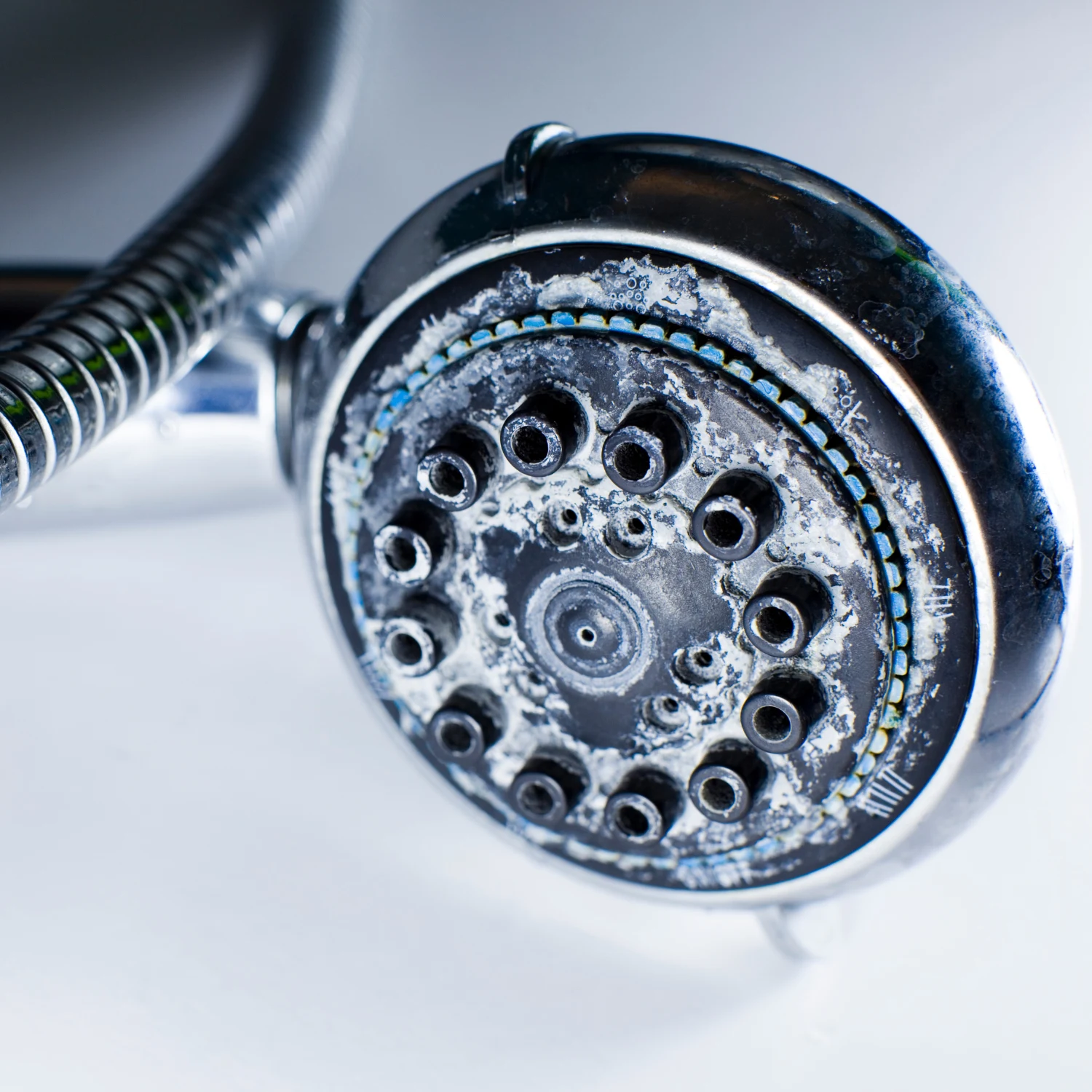 Verkalkter Duschkopf in einer Nahaufnahme.