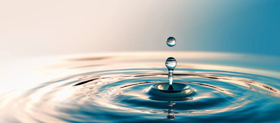Die zentrale Bedeutung des Wassers für unsere Existenz